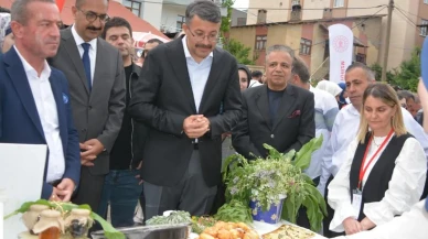 Hakkari'de yöresel lezzetler için muhteşem festival başladı