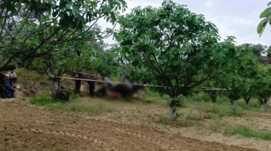 Germencik'te üzücü traktör kazası: Doğan Uysal hayatını kaybetti