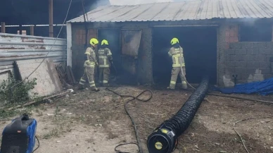 Balıkesir'de yangın felaketi: 42 küçükbaş hayvan telef oldu