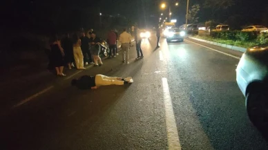 Aydın'da motosiklet sürücüsü domuz sürüsüne çarptı: Hayati tehlikesi devam ediyor