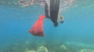 Bodrum'da deniz dibi temizliği için ilk adım atıldı! 33 kg atık çıkarıldı