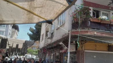 Aydın'da arı kolonisi pazar tezgahını mesken tuttu