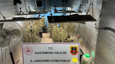 Kastamonu'da uyuşturucu skandalı: Çiftlik evleri seraya dönüşmüştü