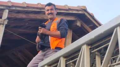 Kastamonu’da evin çatısında mahsur kalan kediyi: İtfaiye ekipleri kurtardı