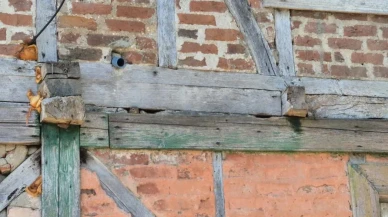 Bartın'da Ali Osman Süner'in evinde sincap: Yalnız yaşamaya fındık dostları eşlik ediyor