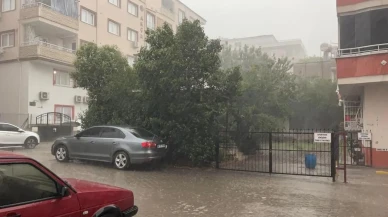 Osmaniye’de fırtına: Ağaçları kökünden söktü