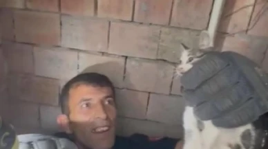 Yavru kedi havalandırma boşluğuna düştü, itfaiye ekipleri onu kurtardı