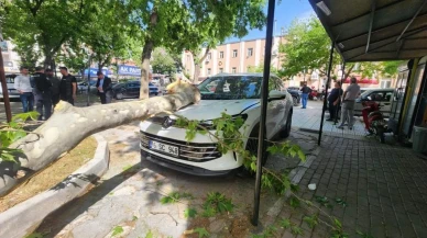 Bursa'da çınar ağacının düşen dalı, lüks aracı hasara uğrattı: Mustafakemalpaşa Öğretmenevi'nde kaza