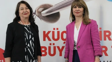 Hitit Üniversitesi uzmanları kene müdahalesinde yapılan yanlışları açıkladı