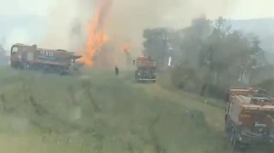 Çanakkale'nin Ezine ilçesinde orman yangını kontrol altına alındı