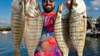 İzmit Körfezi'nde temizlik etkisi! Sosyal medya fenomeni 2 saatte 100 mırmır balığı yakaladı