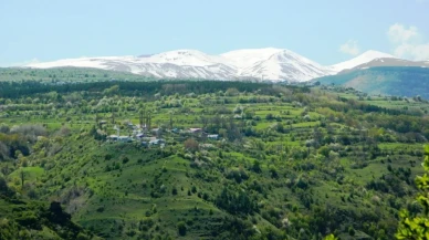 Posof'ta baharın canlanışı: Doğa renk cümbüşüne dönüşüyor!