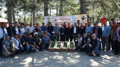 Aydın'da 220 bin geçci domates fidesi dağıtıldı: Kuyucak'ta tarımda dönüşüm müjdesi