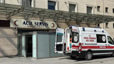 Karapürçek'teki Gürcü Şenliği'nde polis memuru yaralandı