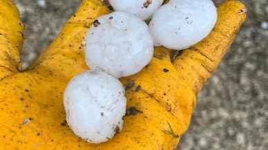 Kahramanmaraş'ta ceviz büyüklüğünde dolu: Tarım arazilerinin içler acısı durumu