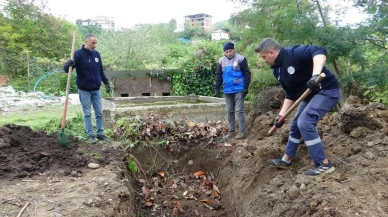 Giresun'da çevreci hamle: Balık atıkları gübreye dönüşüyor