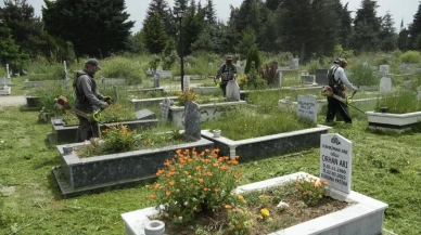 Mezarlıklarda otlar biçiliyor: Düzce belediyesi mezarlıklarda ot biçme çalışması başlattı
