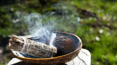 Yaz aylarında sivrisinek ve karıncalara doğal çözüm: Adaçayı ile haşere avına hazır olun