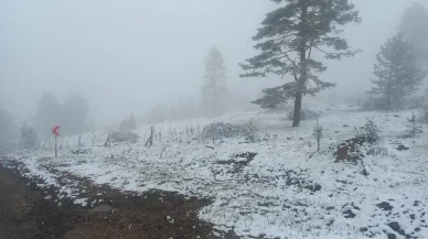 Sivas'ta Mayıs ayında kar sürprizi! Bereket umuduyla karşılandılar