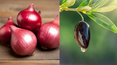 Yorgunluk mu hissediyorsunuz? İbn-i Sina'nın enerji verici 10 besin önerisiyle tanışın