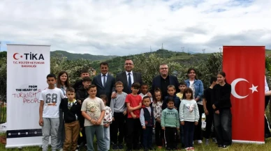 TİKA'dan Arnavutluk'taki yetim ailelere tarımsal destek: Zeytin fidanı ve gübre dağıtımı gerçekleşti