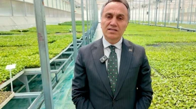 Tokat Gaziosmanpaşa Üniversitesi'nden çiftçilere büyük destek: Fide üretimi iki katına çıktı!