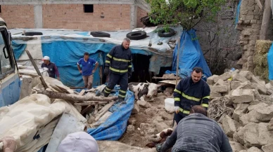 Merzifon Aktarla köyünde çöken ahırdan hayvanlar çıkarıldı