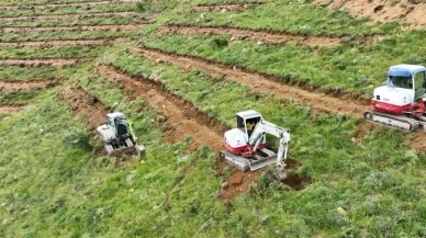 Niğde'de dev ağaçlandırma projesi: 227 hektara 65 bin fidan dikilecek