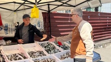 Av sezonu sona ermesine rağmen: Zonguldak'ta tezgahlar şenlendi