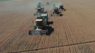 TİGEM Ceylanpınar'da yılın ilk hasadı başladı