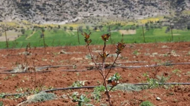 Antalya'da Tarımsal Sulama Projeleriyle Tersine Göç Hızlanıyor