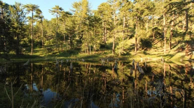Afyonkarahisarın saklı cenneti Kocagöl ziyaretçilerini büyülüyor