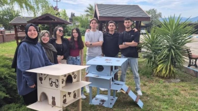 Havran MYO'dan sokak kedilerine sıcak yuva: Öğrencilerden örnek proje