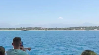 Side açıklarında Akdeniz foku turistleri şaşırttı
