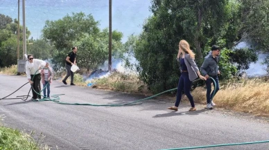 Muğla Bodrum'da yangın: Elektrik telleri neden oldu, 5 hektar zarar gördü