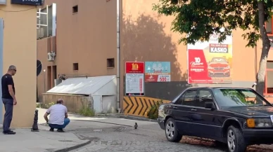 Erzincanda anne karga yavrusuna nasıl kavuştu