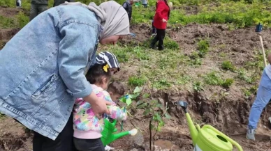 Koruyucu aileler adına: 250 ıhlamur fidanı toprakla buluştu