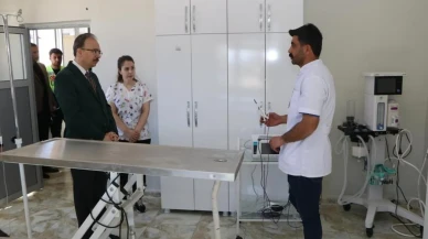 Siirt'te sahipsiz hayvanlar için örnek bir yaşam alanı: 50 bin metrekarelik merkez hayvanların tüm ihtiyacını karşılıyor