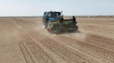 Konya'nın Kulu ilçesinde ilk endüstriyel kenevir ekimi yapıldı