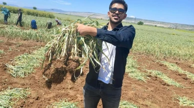 Gaziantep'te genç ziraat mühendisi sarımsakta devrim yaratıyor