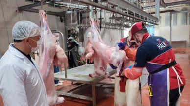 Çorum'dan modern kurban kesim hizmeti: Online randevu sistemi 9 Mayıs'ta devreye giriyor