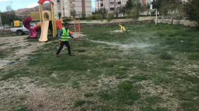 Bayburt'ta sivrisineklerle savaş başlıyor: İlaçlama çalışmaları aralıksız devam edecek