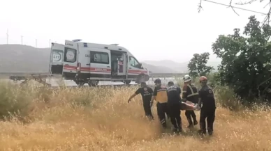 Didim'de kontrolden çıkan araç kaza yaptı