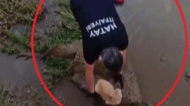 Kedinin kurtarılması mahalleliyi sevindirdi! İtfaiye ekipleri zamanında müdahale etti