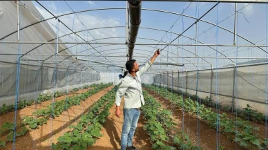 Derecik’te şiddetli fırtına: Seralarda maddi hasar oluştu