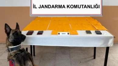 Jandarma ekiplerinden uyuşturucu şebekesine darbe: 13 şüpheli tutuklandı