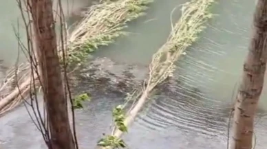 Şiddetli fırtına hayatı felç etti: Elazığ'da hayat durma noktasına geldi