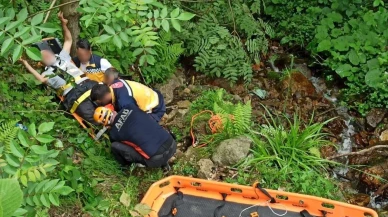 Ardeşen'de yaralanan yaşlı adamı AFAD ekipleri kurtardı