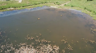 Başkentliler Kızılcahamam yaylalarında bayram coşkusunu yaşadı