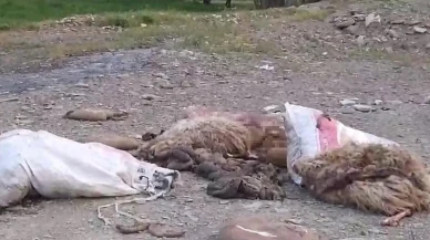 Yüksekova köylüleri kurban atıklarına karşı ayaklandı